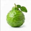 Bergamot