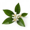 Neroli